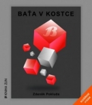 Baťa v kostce (rozšířené vydání)